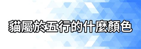 貓的五行|【貓+五行土】五行貓屬於什麼 